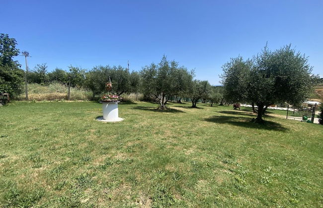 La Casa Del Sole in Casamaggiore - Foto 32