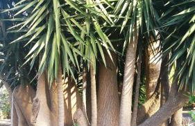 Casa el Porte - Foto 46