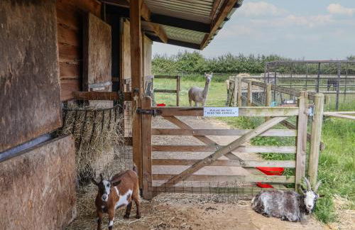 The Shippon - Foto 44