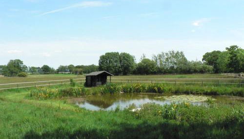 Wiesenblick - Foto 4, Garden, Garden view