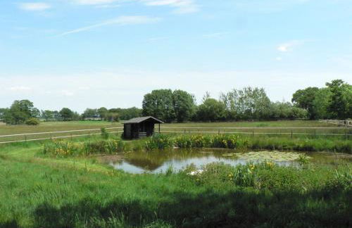 Wiesenblick - Foto 4