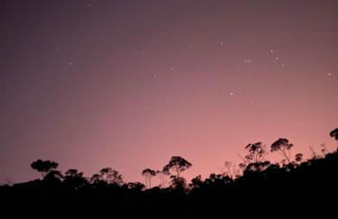 Hotel Fazenda Bonanza - Foto 68