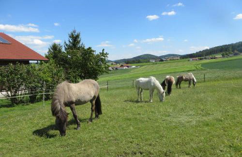 Ponyhof Adam Urlaub auf dem Bauernhof - Foto 9