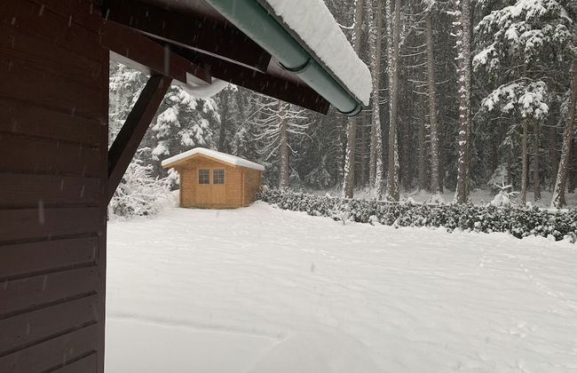 Waldchalet am Eichhof - Foto 31