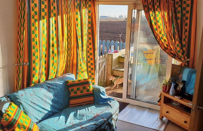 Dog Friendly Bed & Bowl Beach Chalet - Foto 4