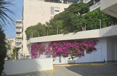 Cannes President vue mer, festival, quartier forville le Suquet - Foto 26