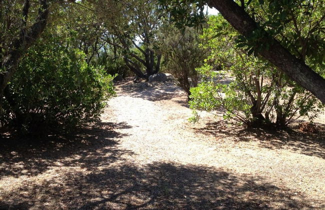 SVS - Lu Impostu Villa e Apartments - Foto 34