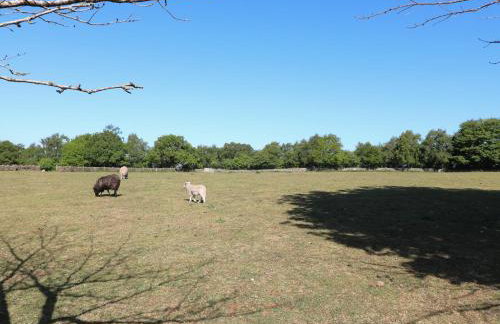 The White Cloud Bus - Foto 20