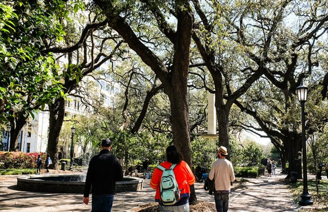 Savannah Historic Downtown Donuts and Sweet Treats Tour - Foto 6