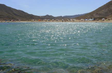 La Posidonia - Foto 56