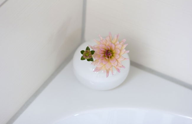 Ringelnatz & Lichtwer - Ferienwohnung Wurzen - Foto 15