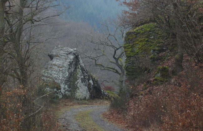 Holiday Home Moselle With Private Sauna - Photo 25