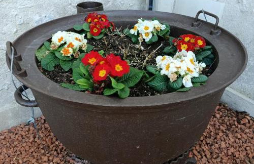 Gîte paisible 2 chambres près de Tours et Amboise - FR-1-381-628 - Foto 32