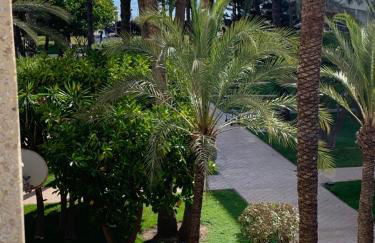 Encantador Apartamento Torrevieja Playa - Foto 1