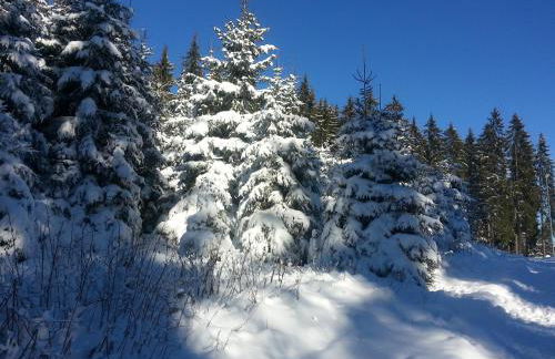 Appartement Rehblick - Foto 66