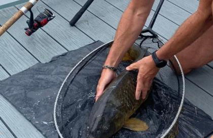 Chichester Lakeside Holiday Park Lakefront Lodge - Foto 63