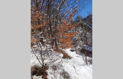 Bonita casa. Gran jardín. Con wifi. - Foto 39