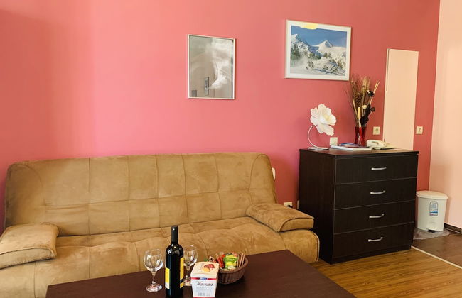 Beautiful Cosy Studio Apartment in Bansko - Photo 15