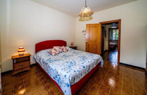 Villa La Pianazza - un OASI nel verde con piscina a pochi minuti da Sestri Levante - Foto 16