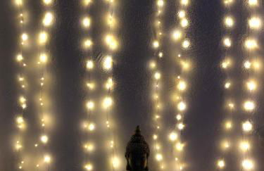 Le Due Pigne - Foto 19