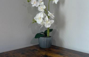 Cozy Entire Home Gateway to Sequoia Pet Friendly - Foto 23