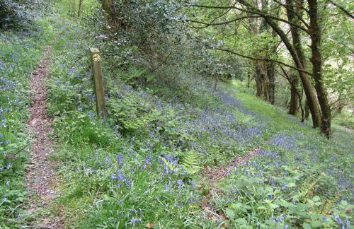 Llantood Farm Cottage, Cardigan - Foto 16