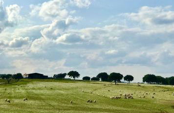 Mileu slowhouse - Foto 43