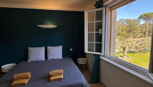 Maison calme au cœur des vignes - Foto 3