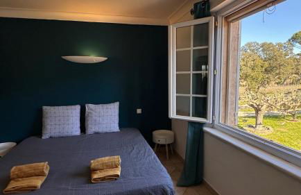 Maison calme au cœur des vignes - Foto 3