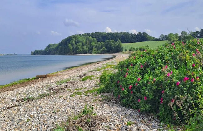 Holiday Home in Haderslev - Foto 31