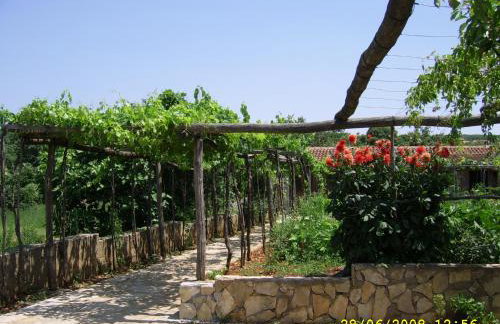 Apartments Cvelic Milovcic - Foto 37