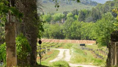 Le petit robernier - Foto 3