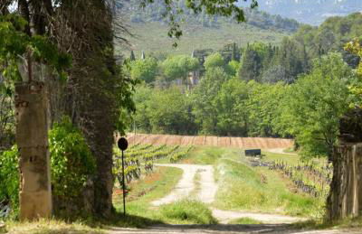 Le petit robernier - Foto 3