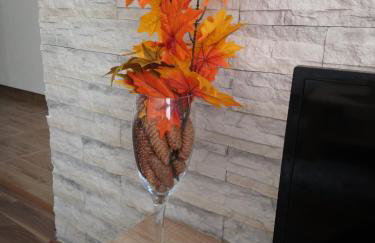 Apartman Danijela - Foto 31