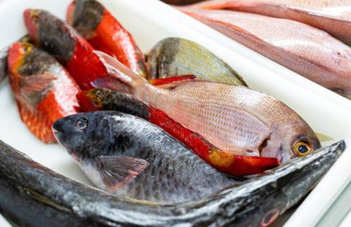 Window to the Sea, south Tenerife - Foto 26