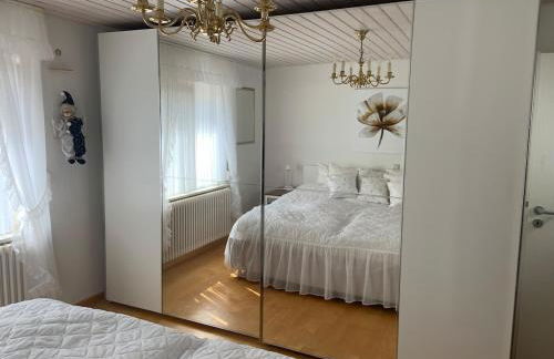 FeWo Sulzbachtal, Nähe Europa-Park, Rulantica, Schwarzwald, Feldberg - Foto 20