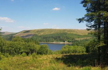 Cottage, Pontsticill, Brecon Beacons - Photo 8