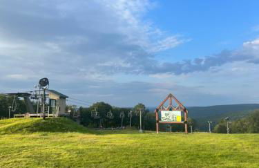 The Flying Dutchman Cottage in amenities filled Masthope community Ski Big Bear - Foto 22