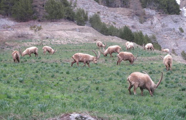 Villa in Le Monetier-les-bains - Photo 37