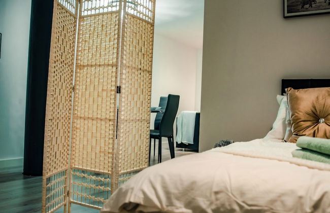 Bv Cosy Basement Apartment At Conditioning House - Photo 75