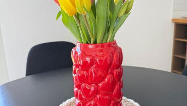 Duplex indépendant avec clim et parking St Donat - Foto 4