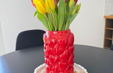 Duplex indépendant avec clim et parking St Donat - Foto 4