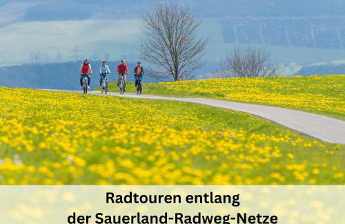 Ferienhaus Grimme - 350m2, 18 Betten - mit Indoorspielplatz, Pool, großer Terrasse, Grill, Sauna, Kicker, Dart, uvm - ideal für Familien - Foto 43