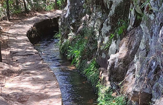 Hiking Tour Around the Caldeirão Verde Levada - Photo 10