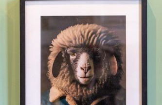 La Cabane atypique de la Gare Matabiau - Foto 12