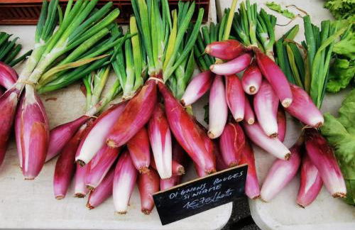 Las Vignes - Où le calm apaise l'âme - Foto 32