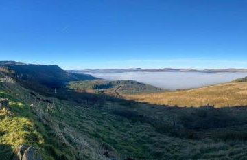 Herbert Place - Foto 40