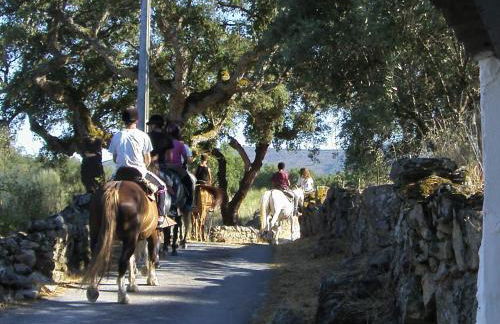 Flor da Ramila - Foto 11