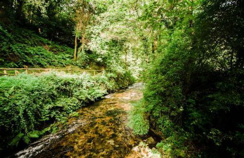 Casa Calma Rural - Foto 49