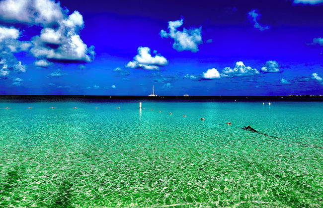 The Grove - Photo 65